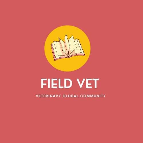 Mobile Ultrasound Veterinarians | Facebook