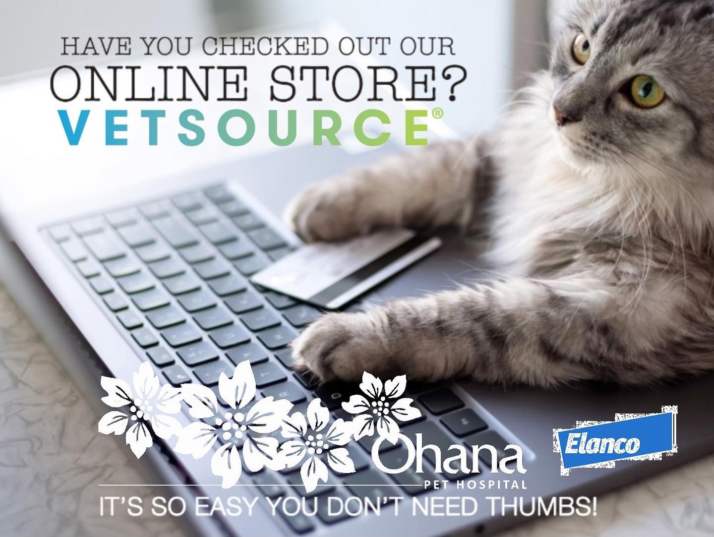 *New VetSource Code Alert* 20AUGUST... - Ohana Pet Hospital | Facebook