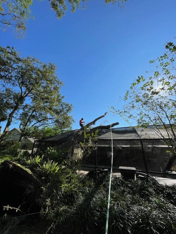 Hi-Point Tree Service