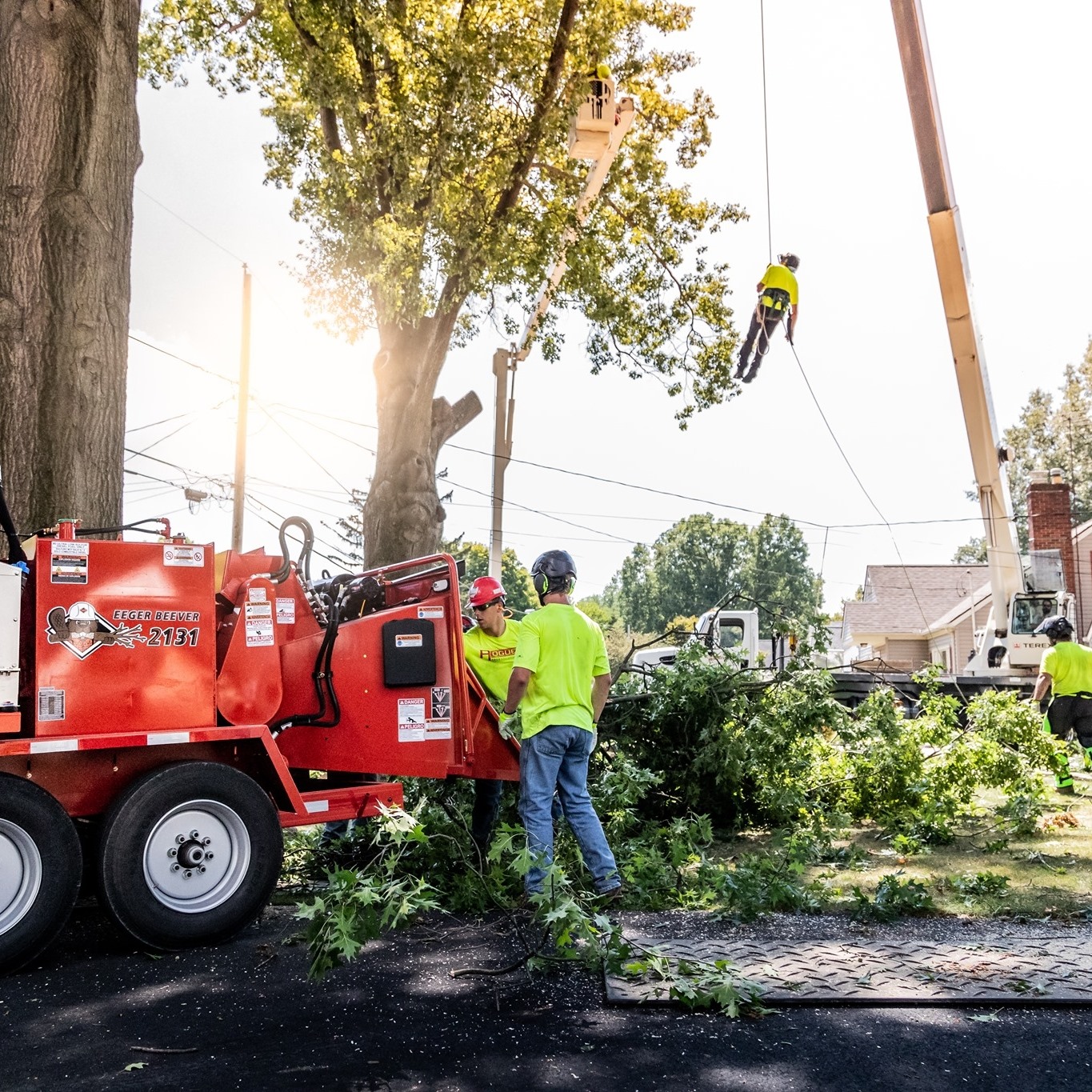 Rogue Tree Solutions | Smithville OH