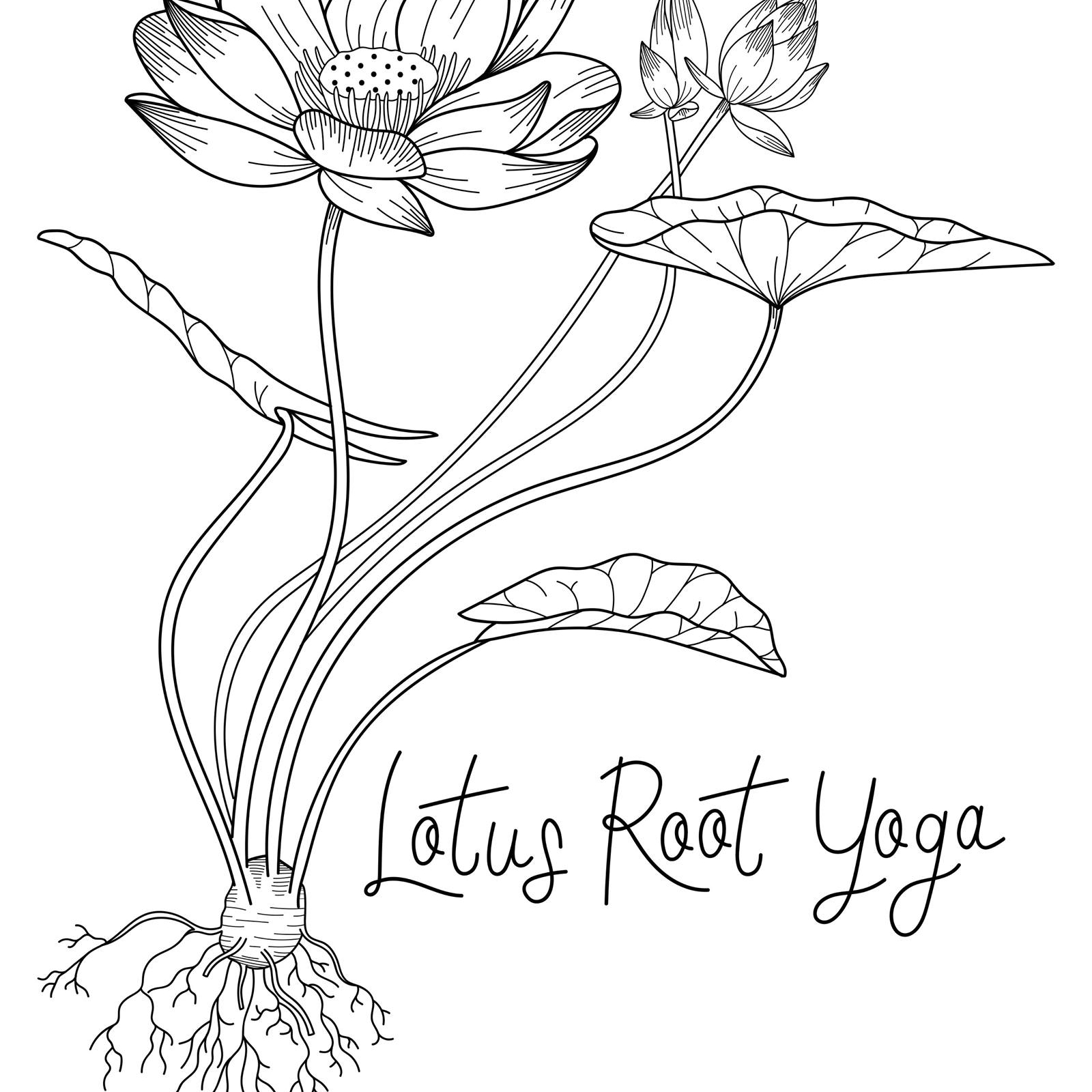 Lotus Root Yoga llc | Ripon WI