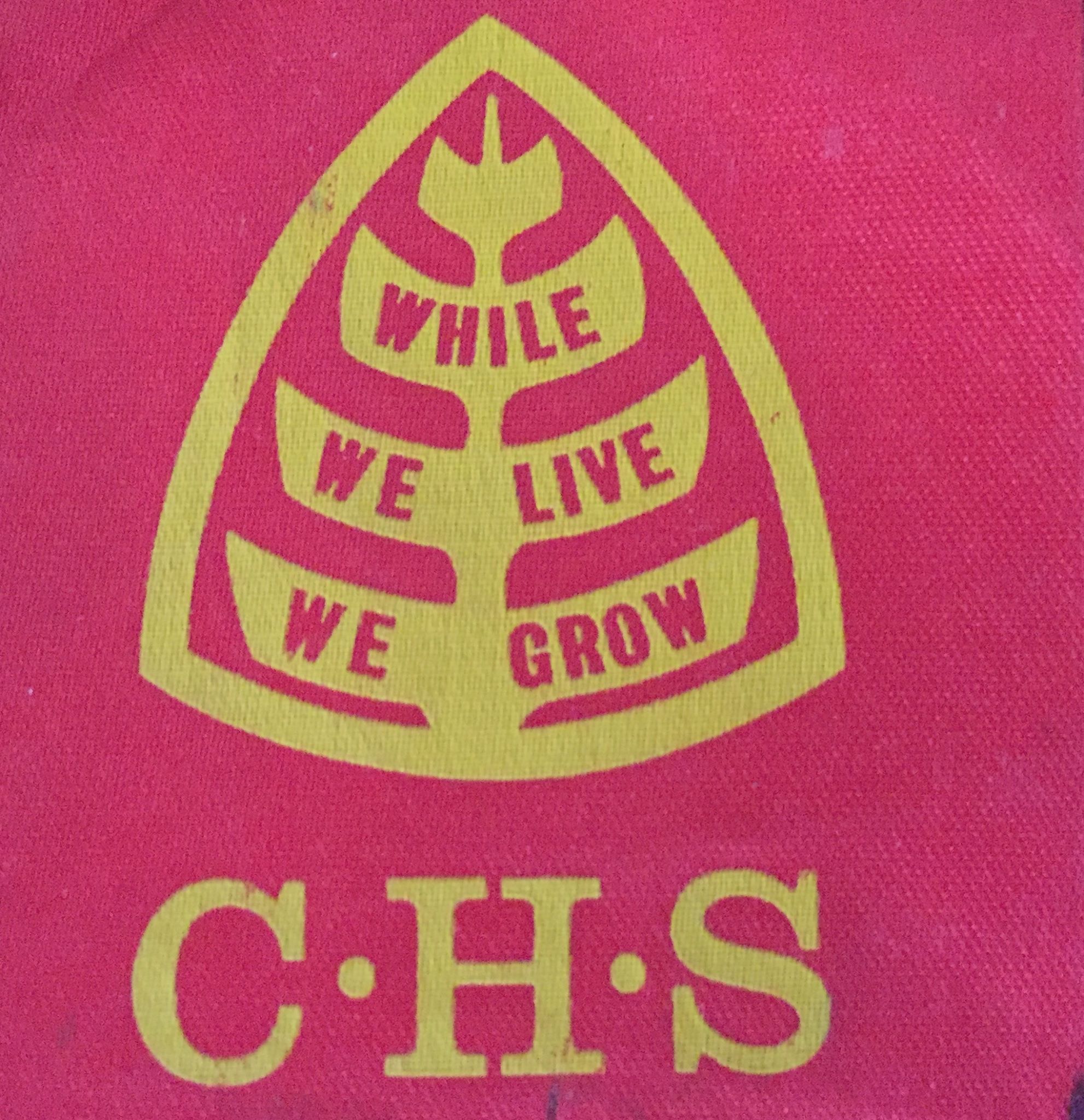 The countdown... - Cranbourne High School Originals Reunion | Facebook