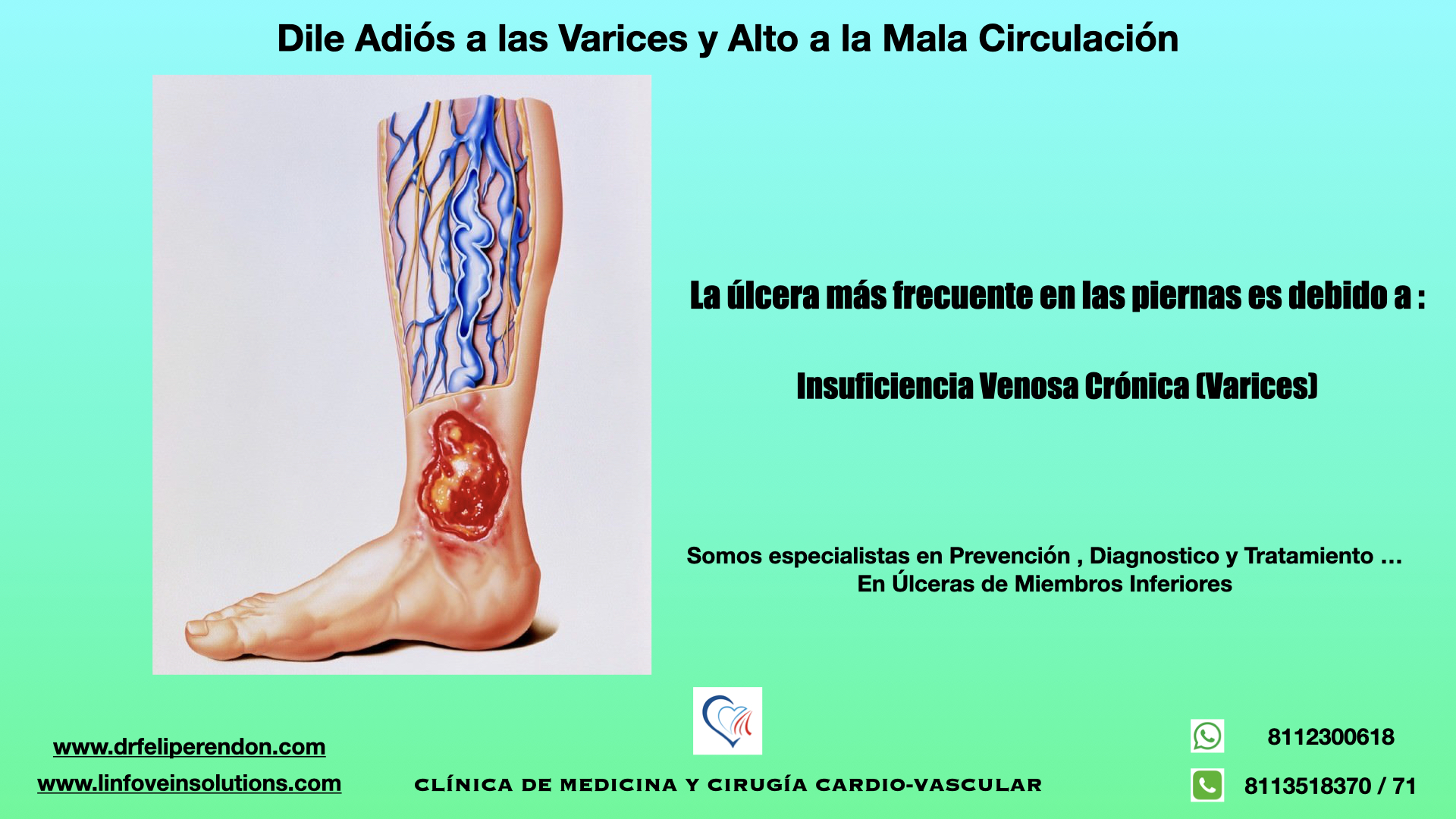 Dr. Felipe G. Rendón Elías | Guadalupe