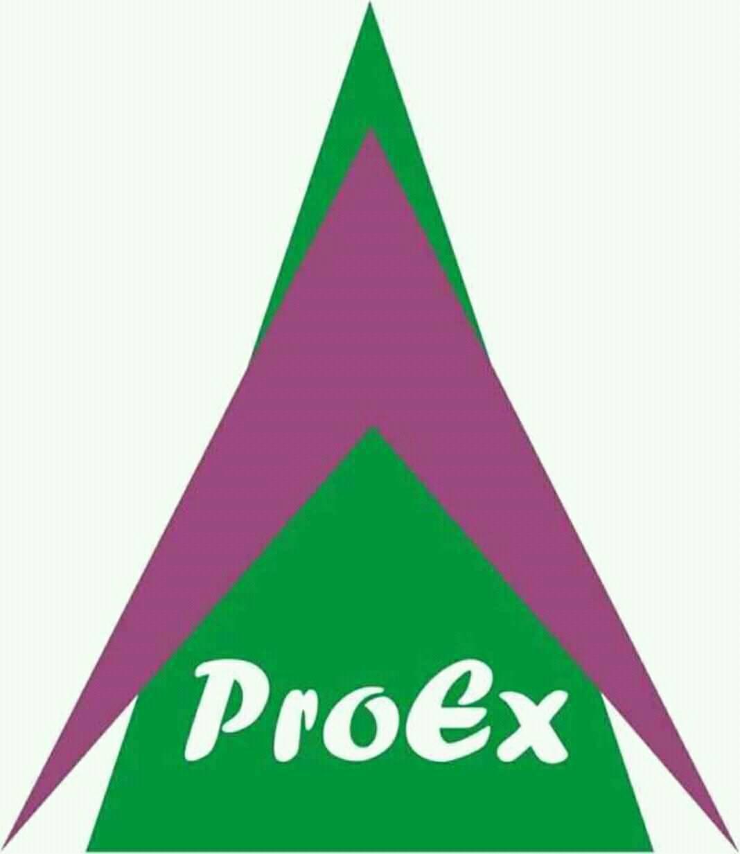 ProEx Technologies