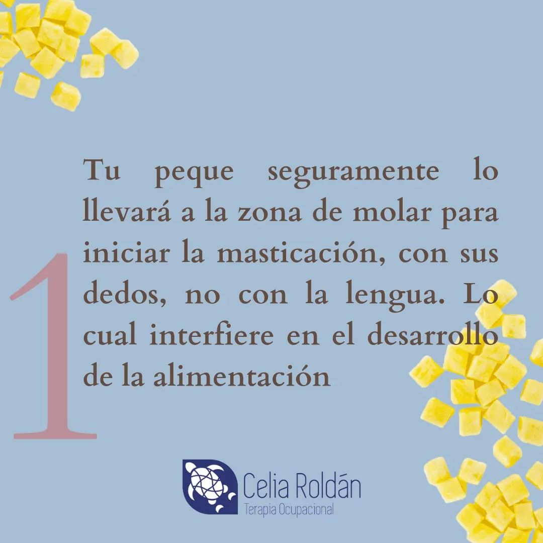 Celia Roldán Terapia Ocupacional | Granada