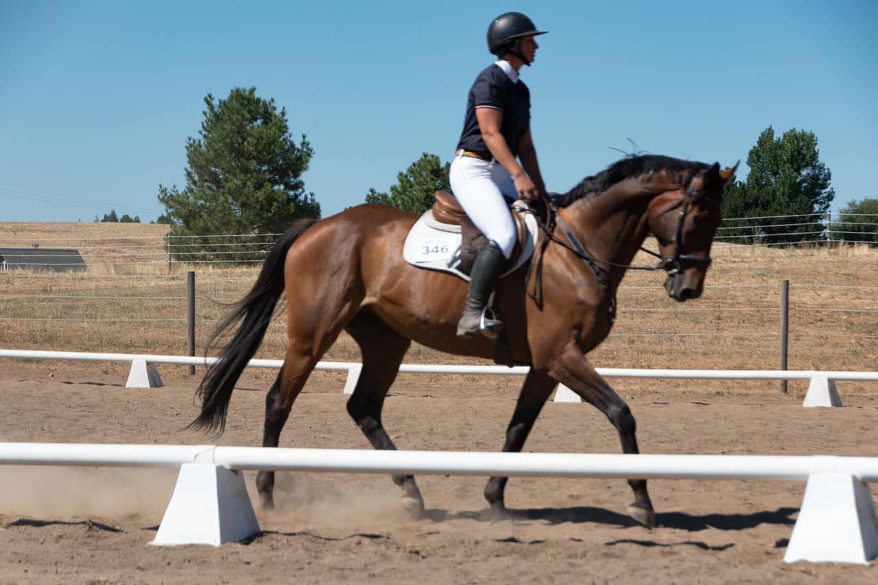 Resolute Training Stables | Spokane WA