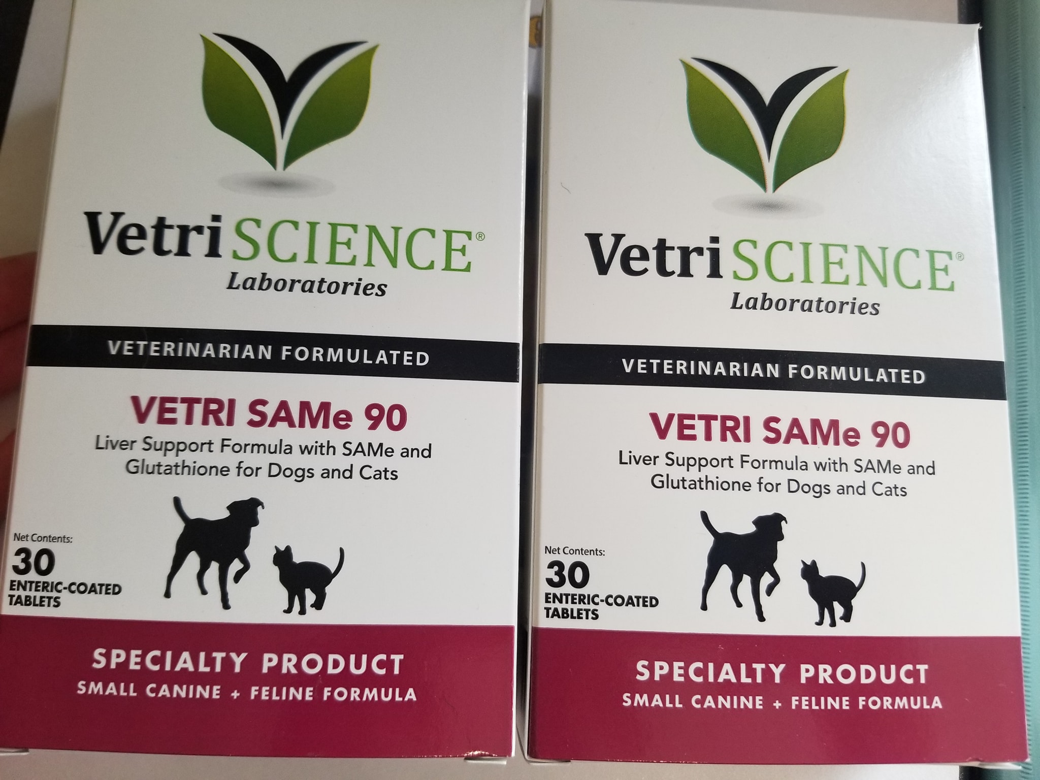 glutathione for cats Immune System Support – Yenicag Free liver support supplements for