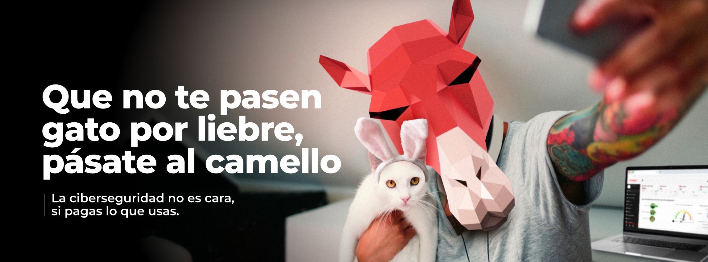 Camel Secure | Santiago