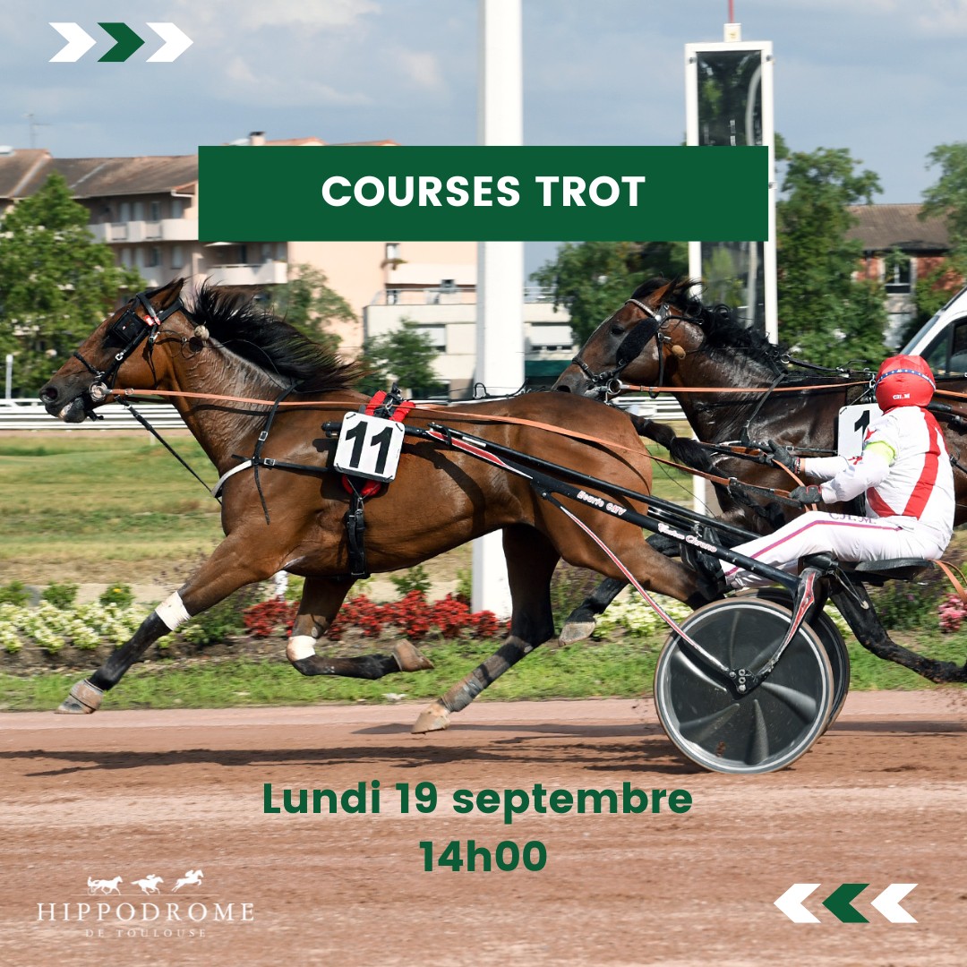 Hippodrome - Après le Plat et l'Obstacle c'est au tour du Trot d ...