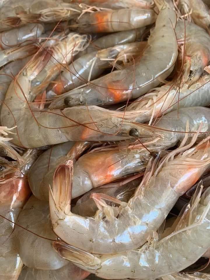 Tarabaniseafood - تبسي مطعم طرباني المشكل عبارة عن المكونات التالية ...