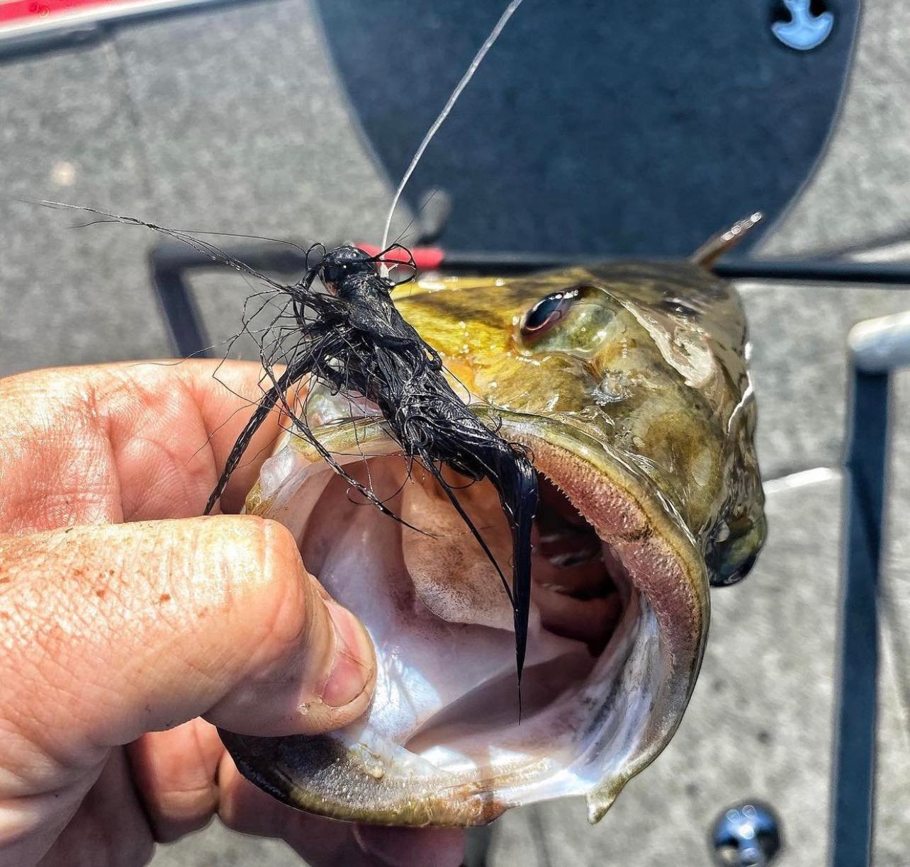 bellinger fly reel seat .680 Down Lock This product can expose FASTEST way to Get Color:Live Croaker F1