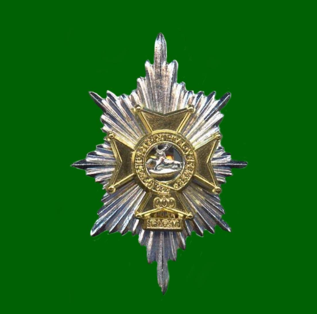 Spilla Militare Worcestershire &amp; Sherwood Foresters Regiment &ndash; Distintivo Metallo 25mm