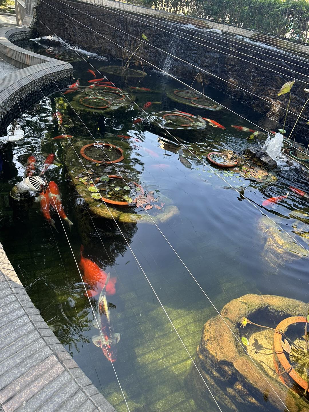 荃灣區梨木樹東關愛隊