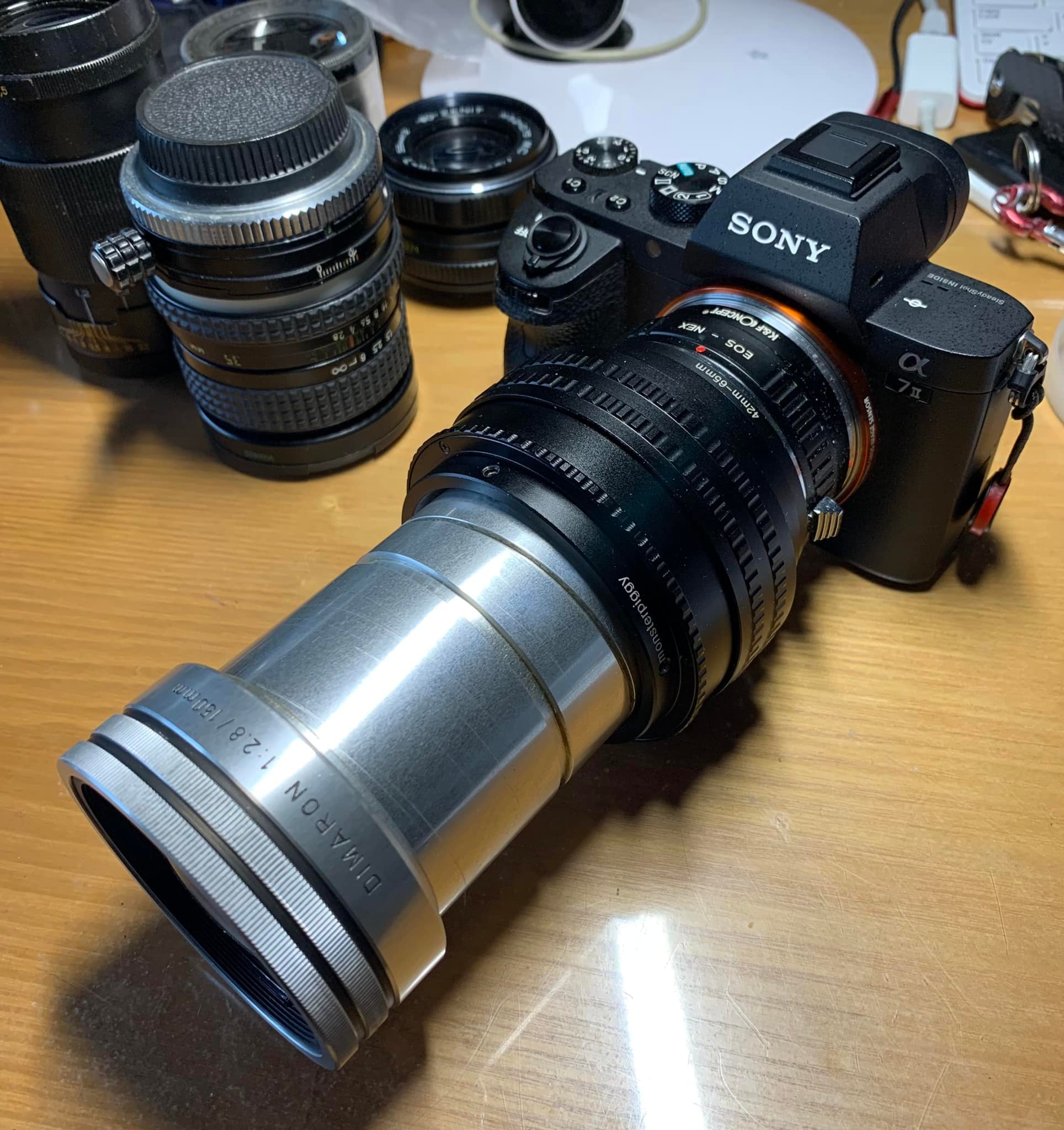 Adapted Leitz Elmaron 150mm f2.8 lens for bokeh