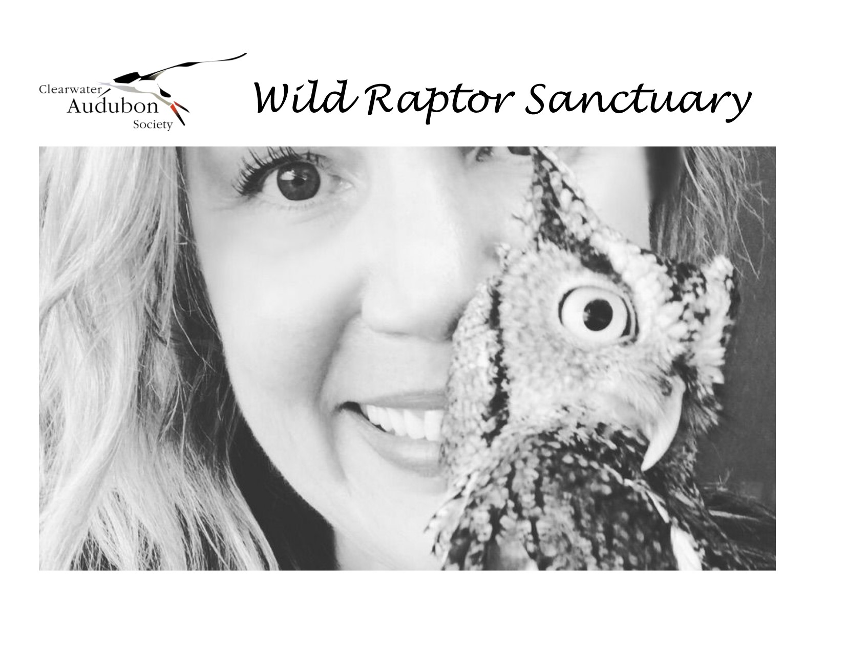 Wild Raptor Sanctuary | Clearwater FL