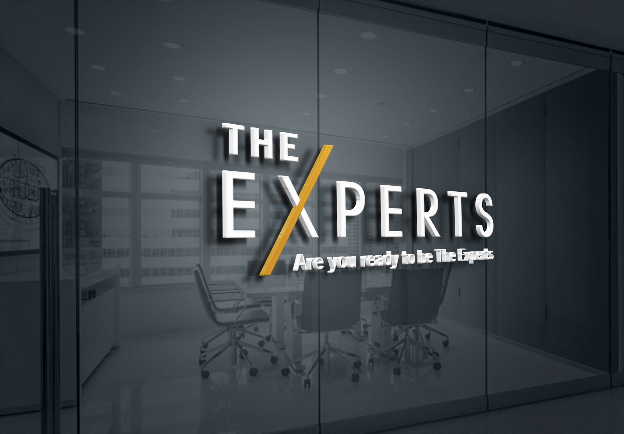The Experts