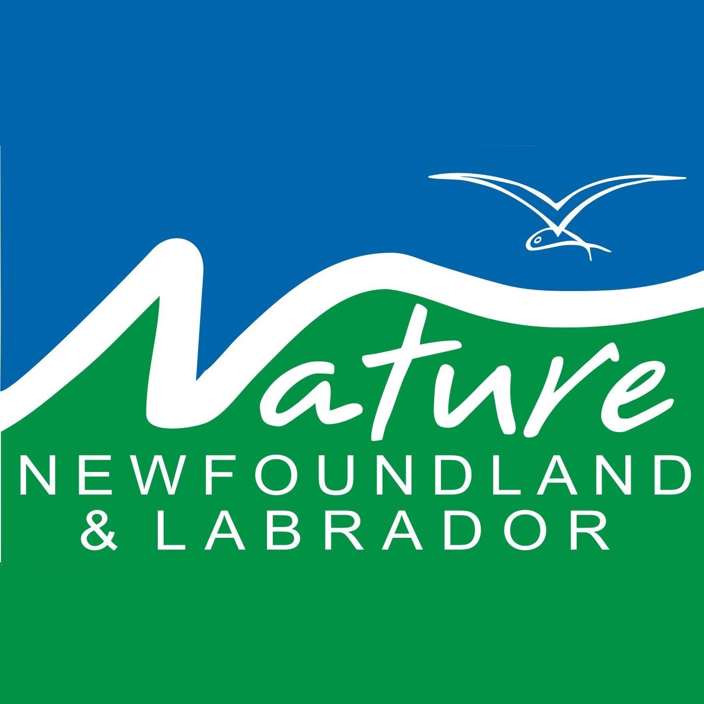 Check out our new Tree Bark Identification resource! Looking for a fun ...