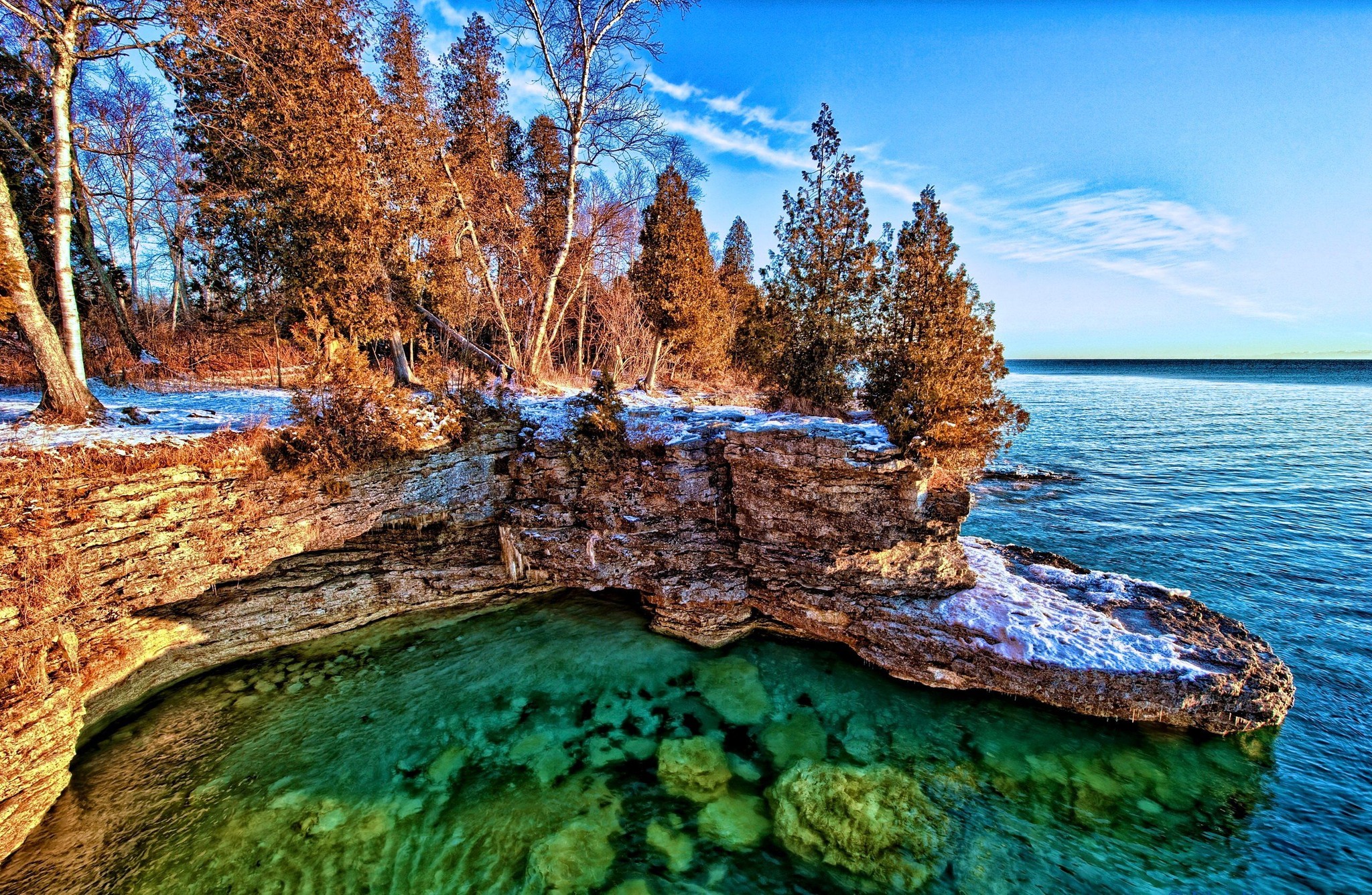 Rooted in Michigan
