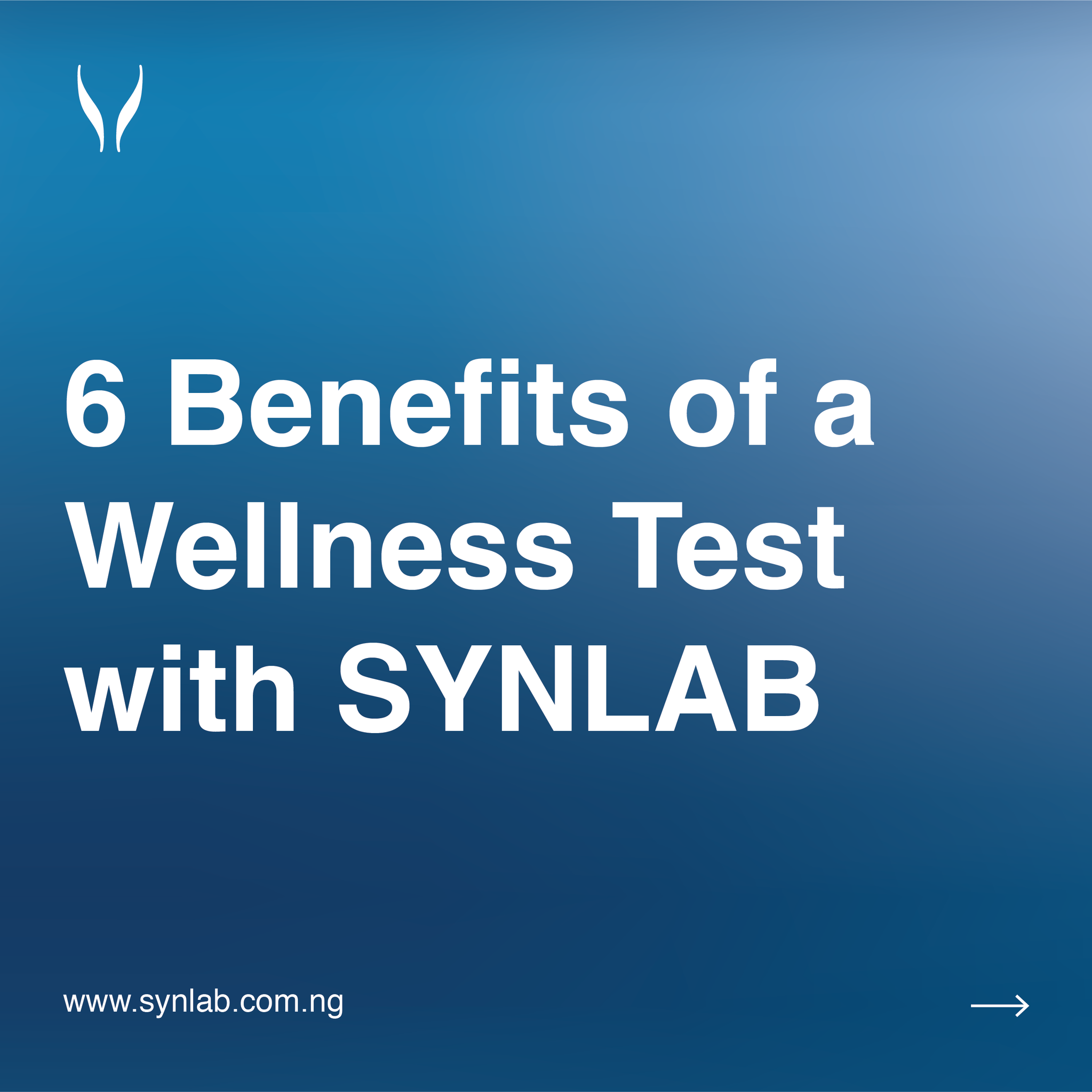 SYNLAB Nigeria - We have a Wellness Test option suited to... | Facebook