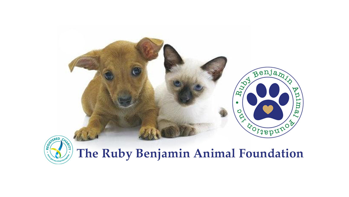 Ruby Benjamin Animal Foundation inc