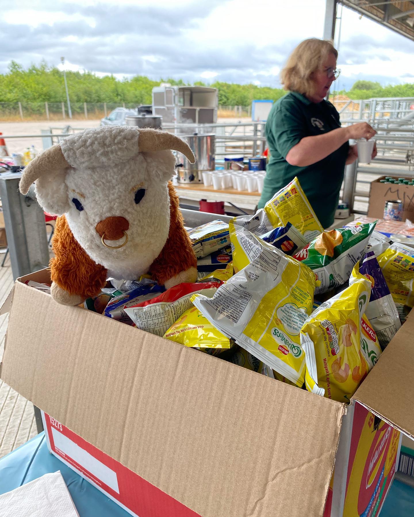 Did you spot me at junior field... - Bertie the HFYFC Bull