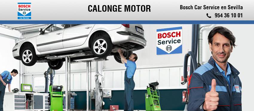 Calonge Motor | Seville