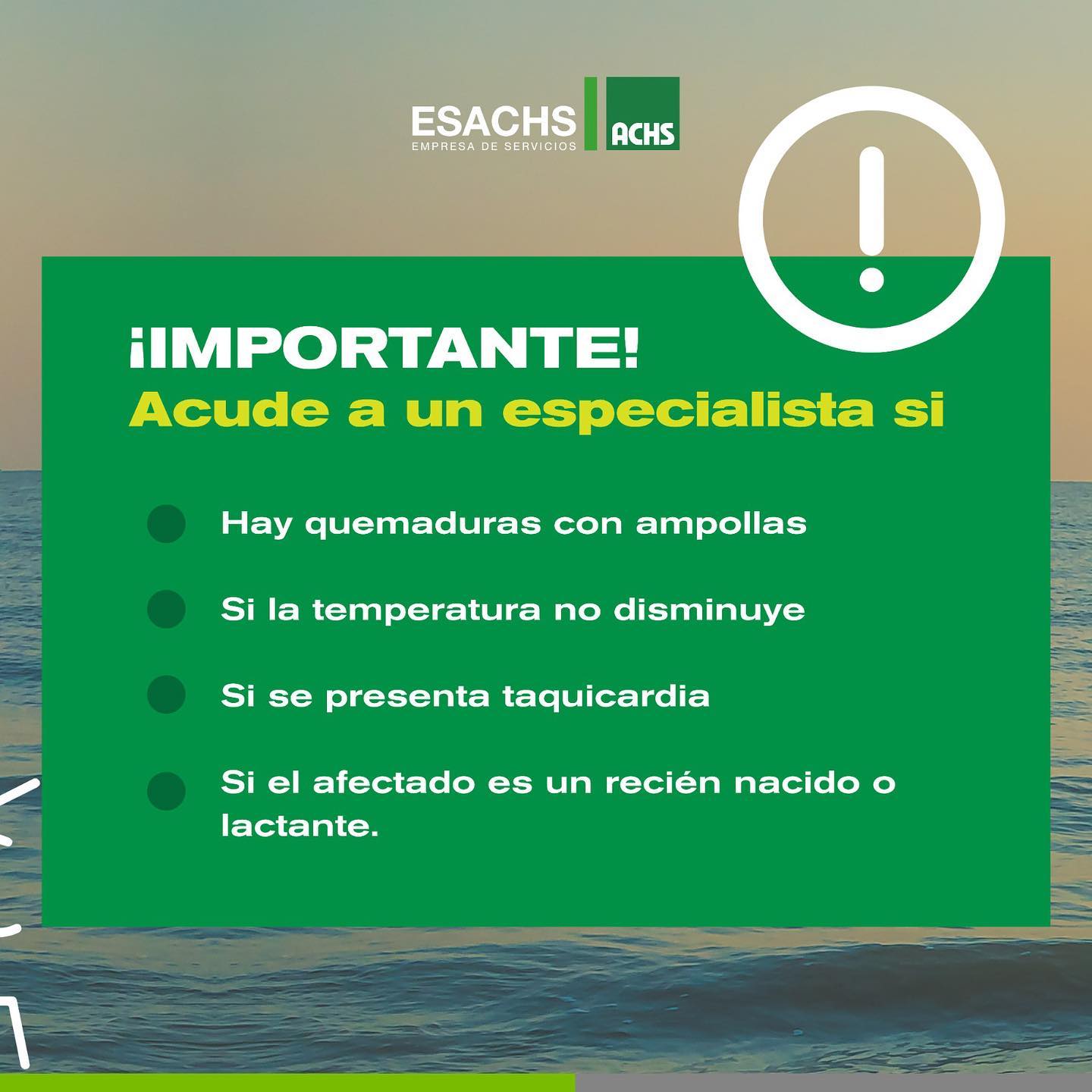 soyesachs - ¿Conoces la Ley No Chat📵🚗? Esta nueva... | Facebook
