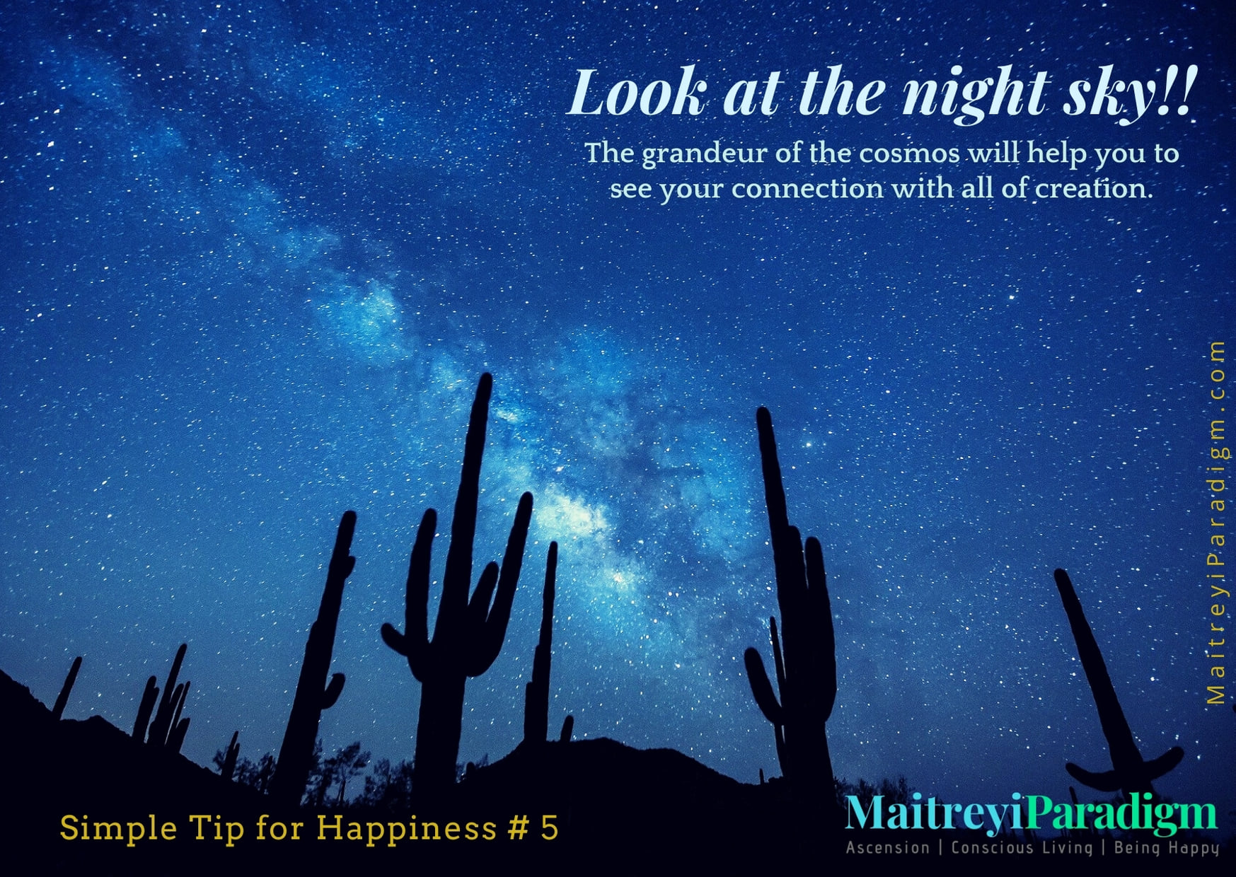 Look up at the night... - Vedic Wisdom & Maitreyi Paradigm