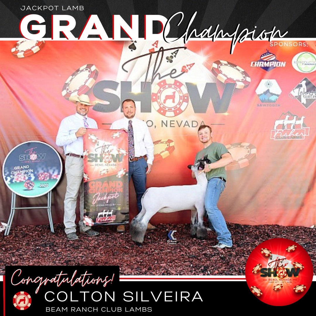 The Show Reno - 🏆The Show Reno 2022 Jackpot Lamb Show 🏆...