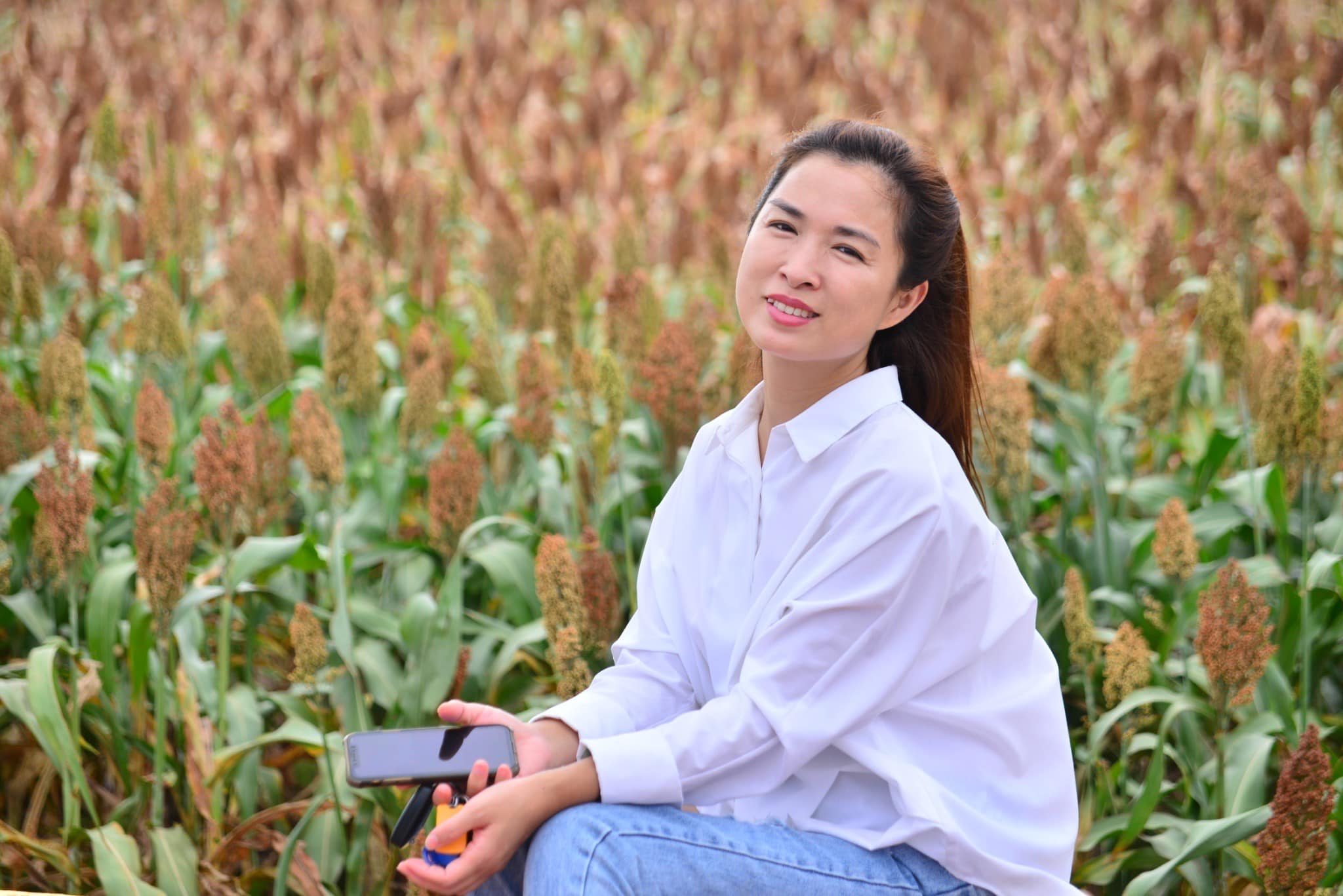 夏之戀金門民宿 - 金門的高梁田真的太美啦！不來金門看高梁田太可惜了！今年的高梁田美拍你跟到了嗎？ #金門高梁田...