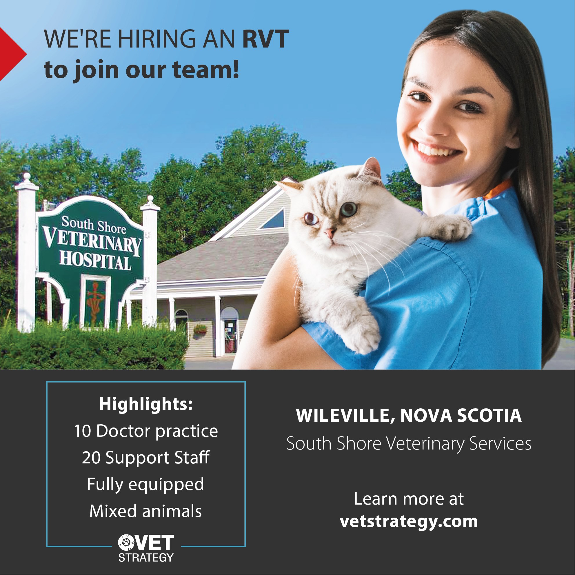 VetStrategy - NOW HIRING An exciting opportunity has...