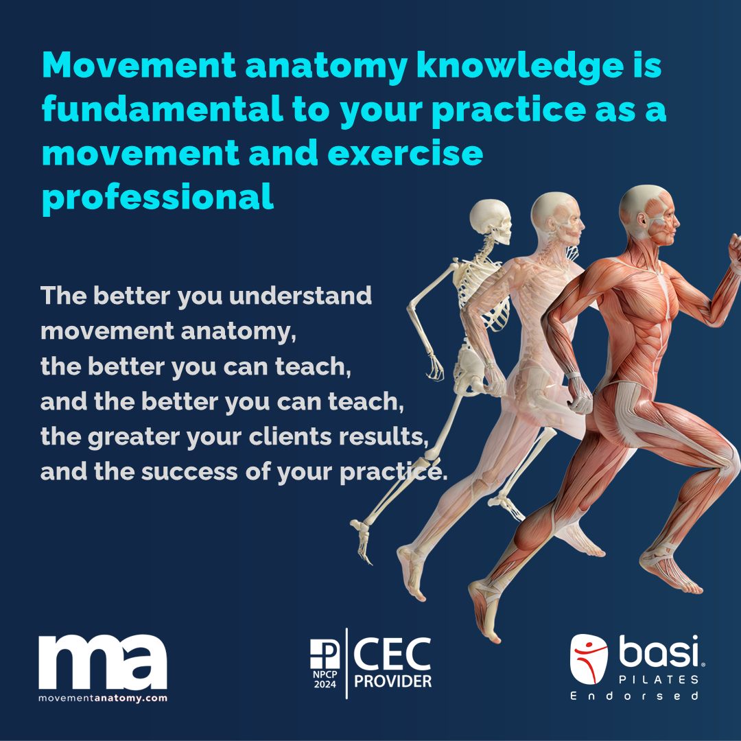 🌟 STUDY MOVEMENT ANATOMY! 🌟... - movementanatomy.com