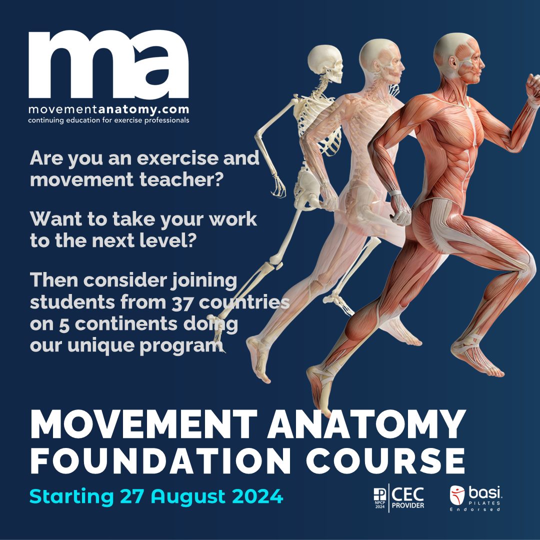 🌟 STUDY MOVEMENT ANATOMY! 🌟... - movementanatomy.com