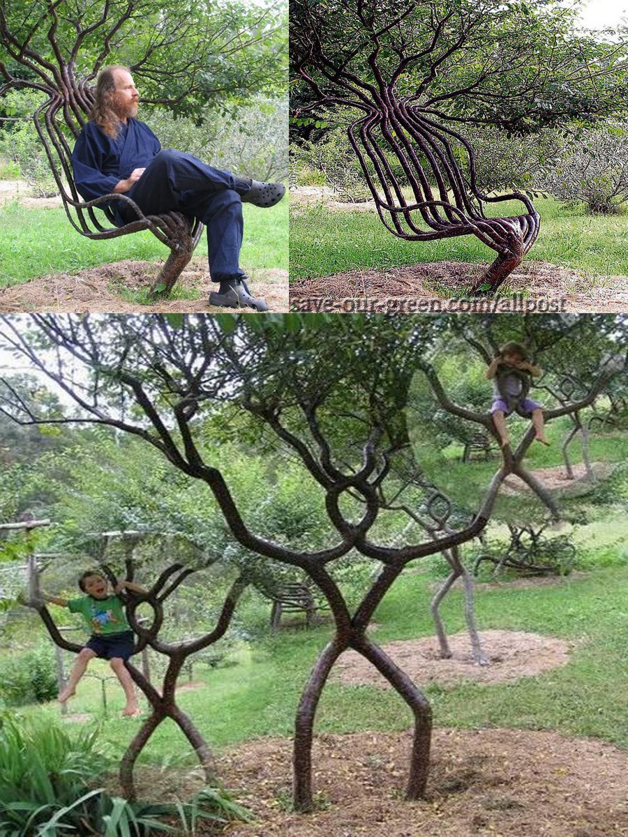 Big Bang Science - Un arbre fauteuil, façonné selon la méthode du ...