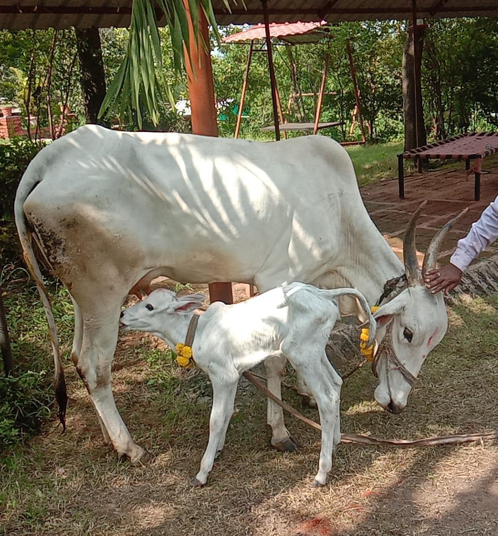 Deorai Farms & Agro Tourism-Agro Resort | Pune