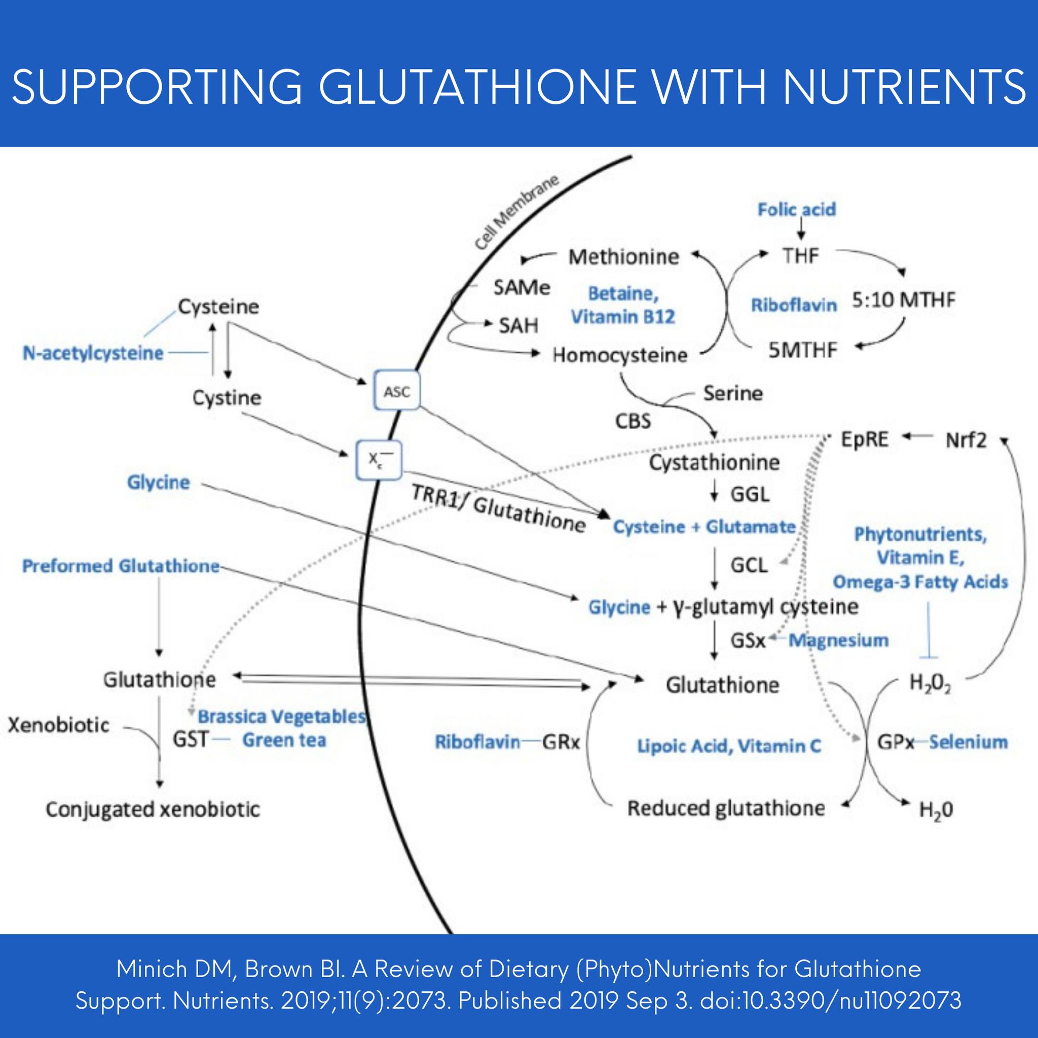 Which trace element is essential for glutathione peroxidase activity?