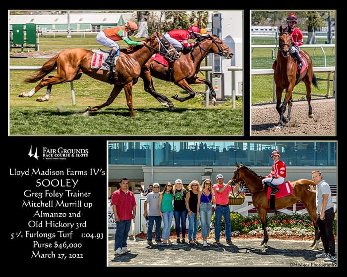 Greg Foley Racing Stable - Home