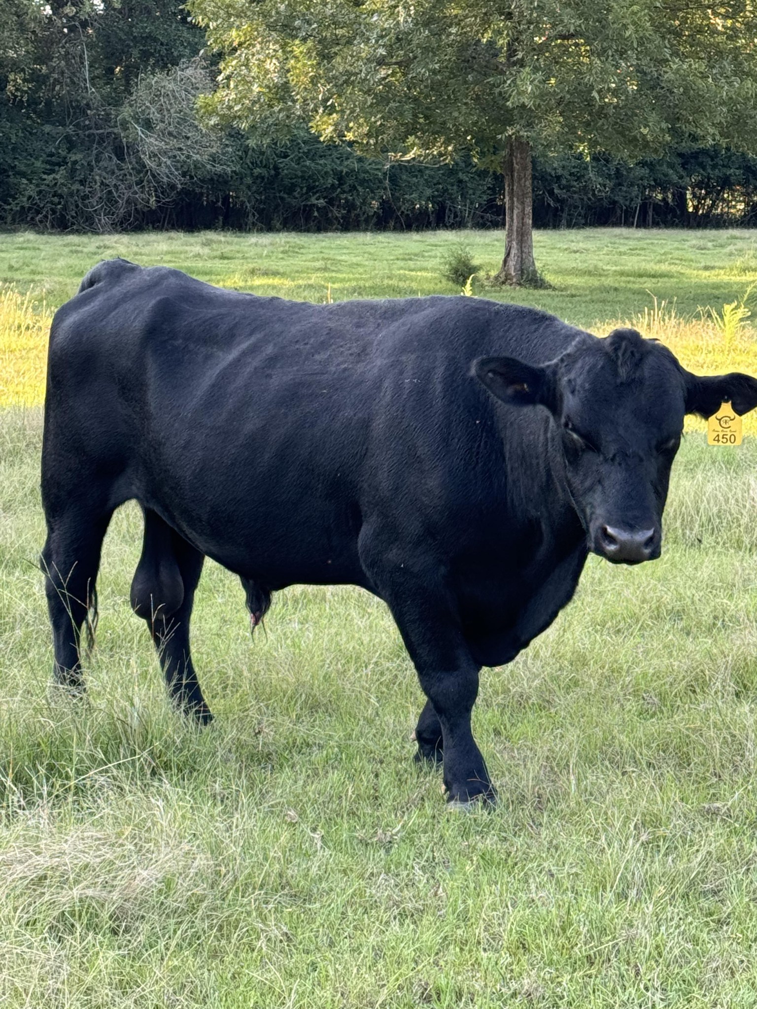 Coosa River Ranch | Columbiana AL