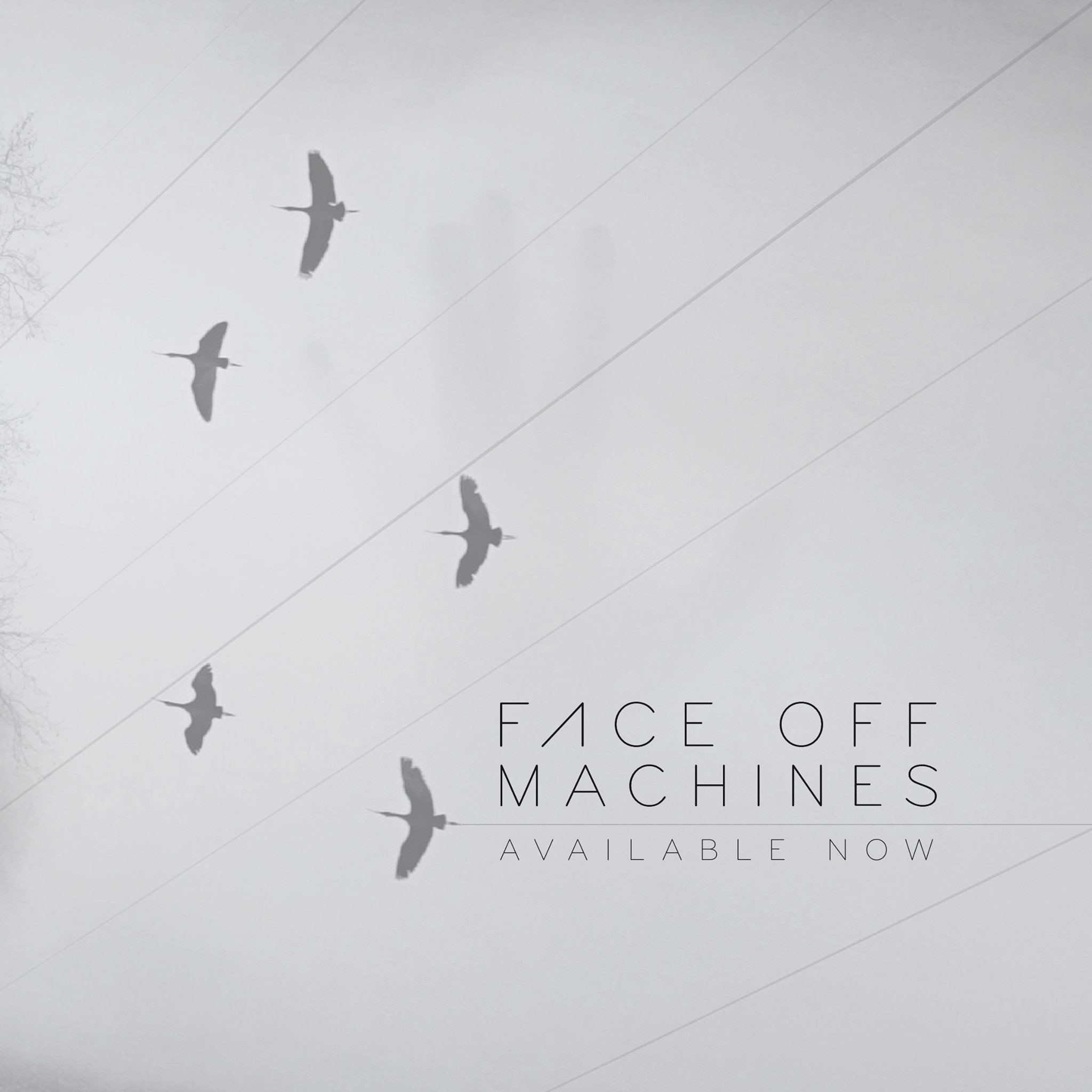 Face Off