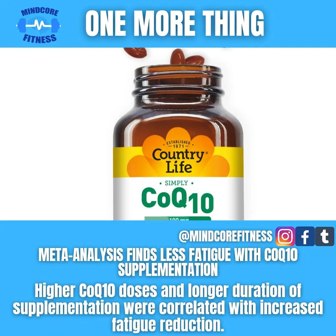 coq10 and l-carnitine fatigue benefits for myalgic encephalomyelitis InfiniWell Enhance 90c | Skin microbiome support toner Package size:3 Bottles