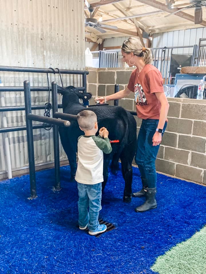 More scenes from our cattle... - Garner Ranch And Residential