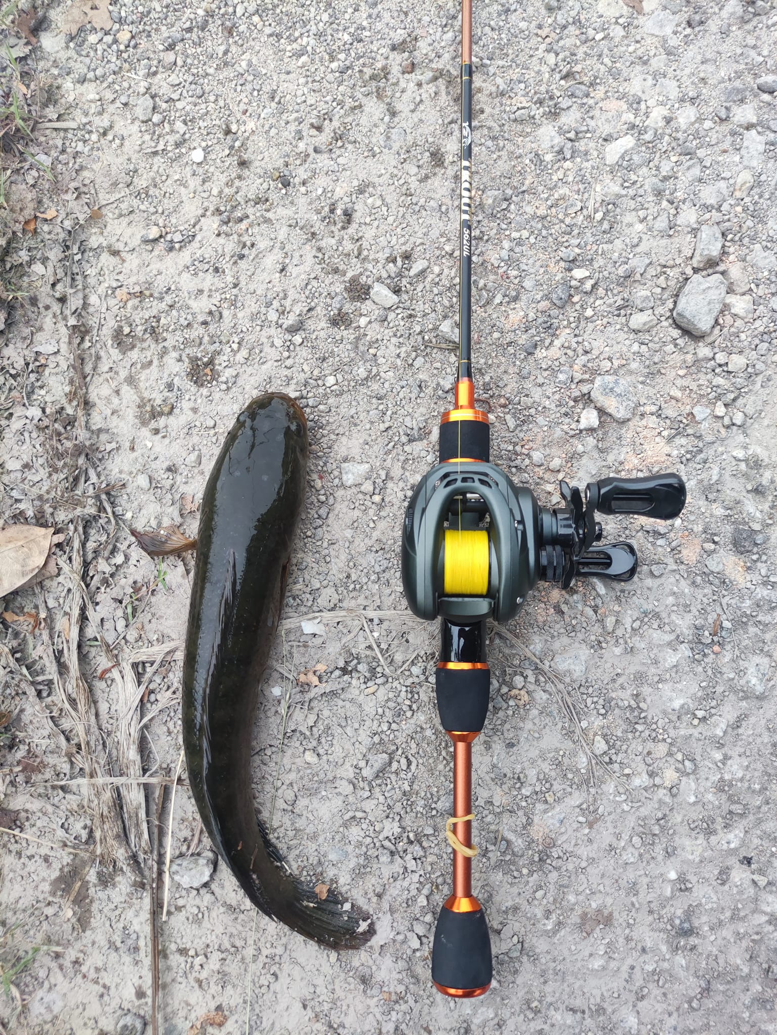 Now available! TSU Dark Wolf Ultra Pro KF-50S Pro The newest