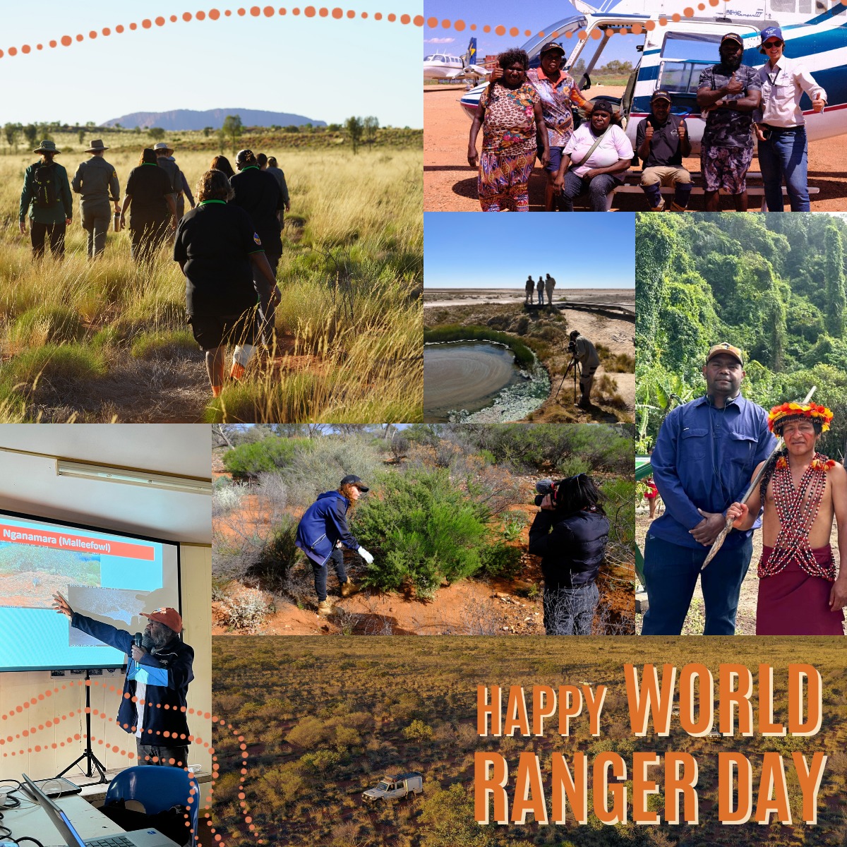 Happy World Ranger Day to... - Arabana Aboriginal Corporation