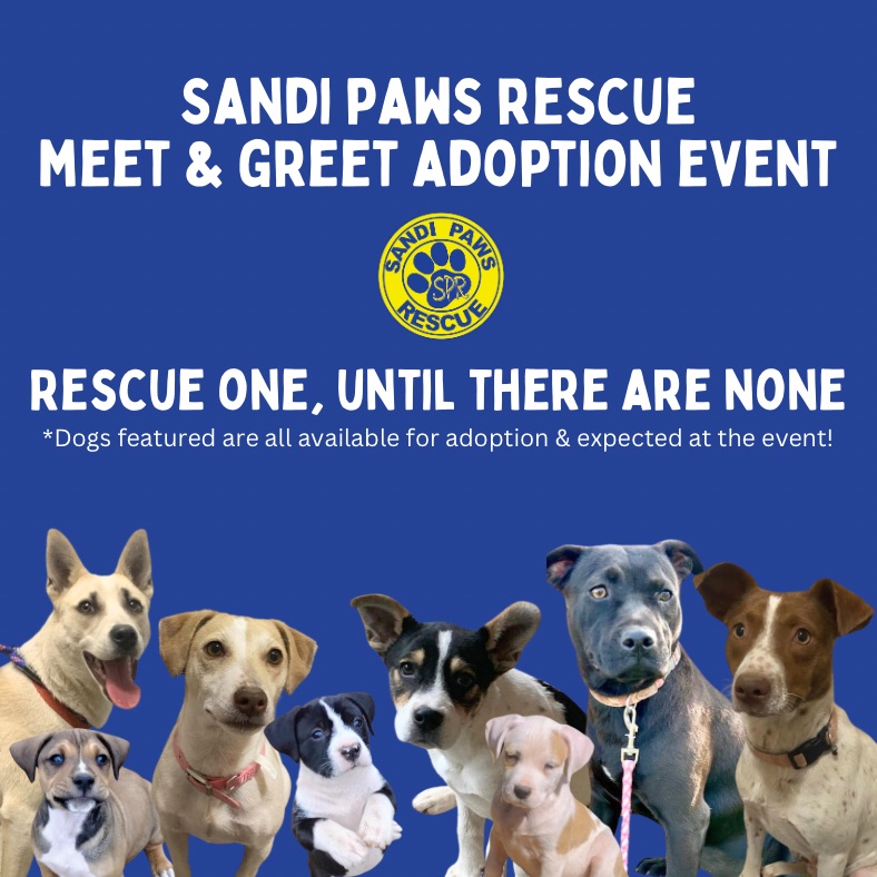 Sandi Paws Rescue Monthly Transport and Adoption Event