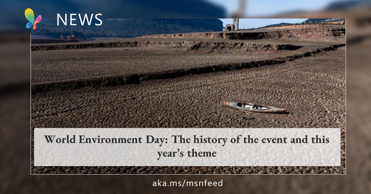 MSN - 🌍 Let's celebrate World Environment Day together!...