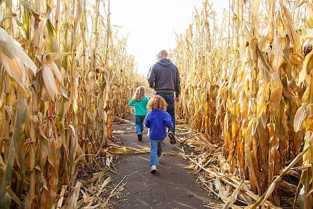 Remsen Depot Corn Maze