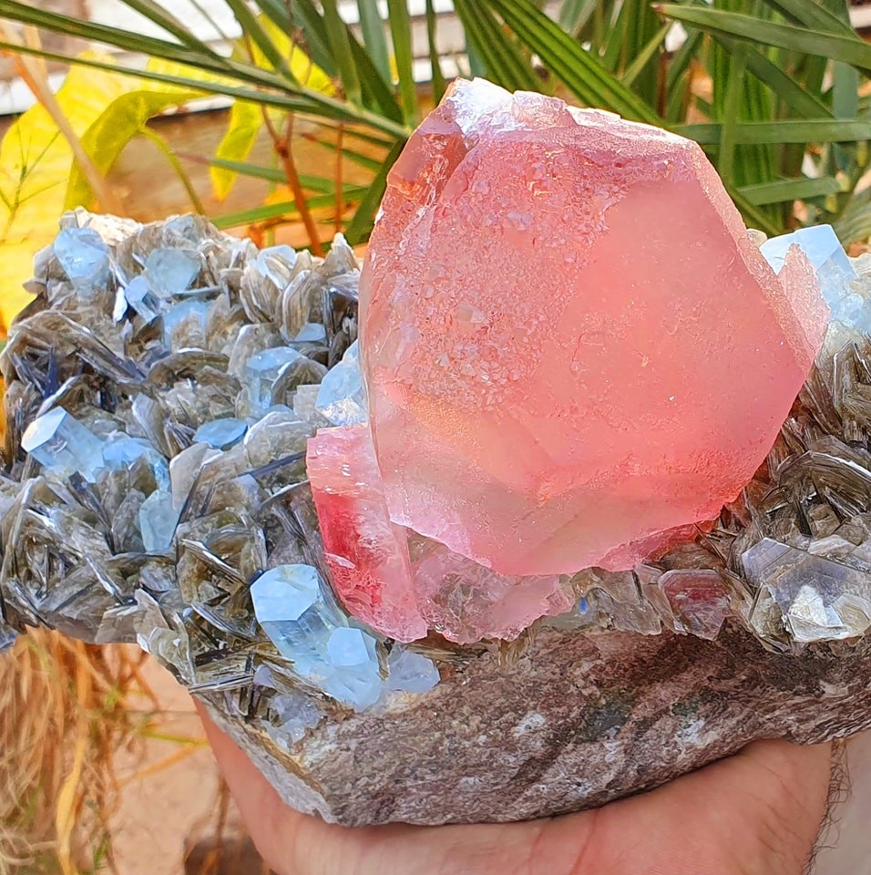 Apatite with Aquamarine, Tourmaline albite,tourmaline and Mica ...