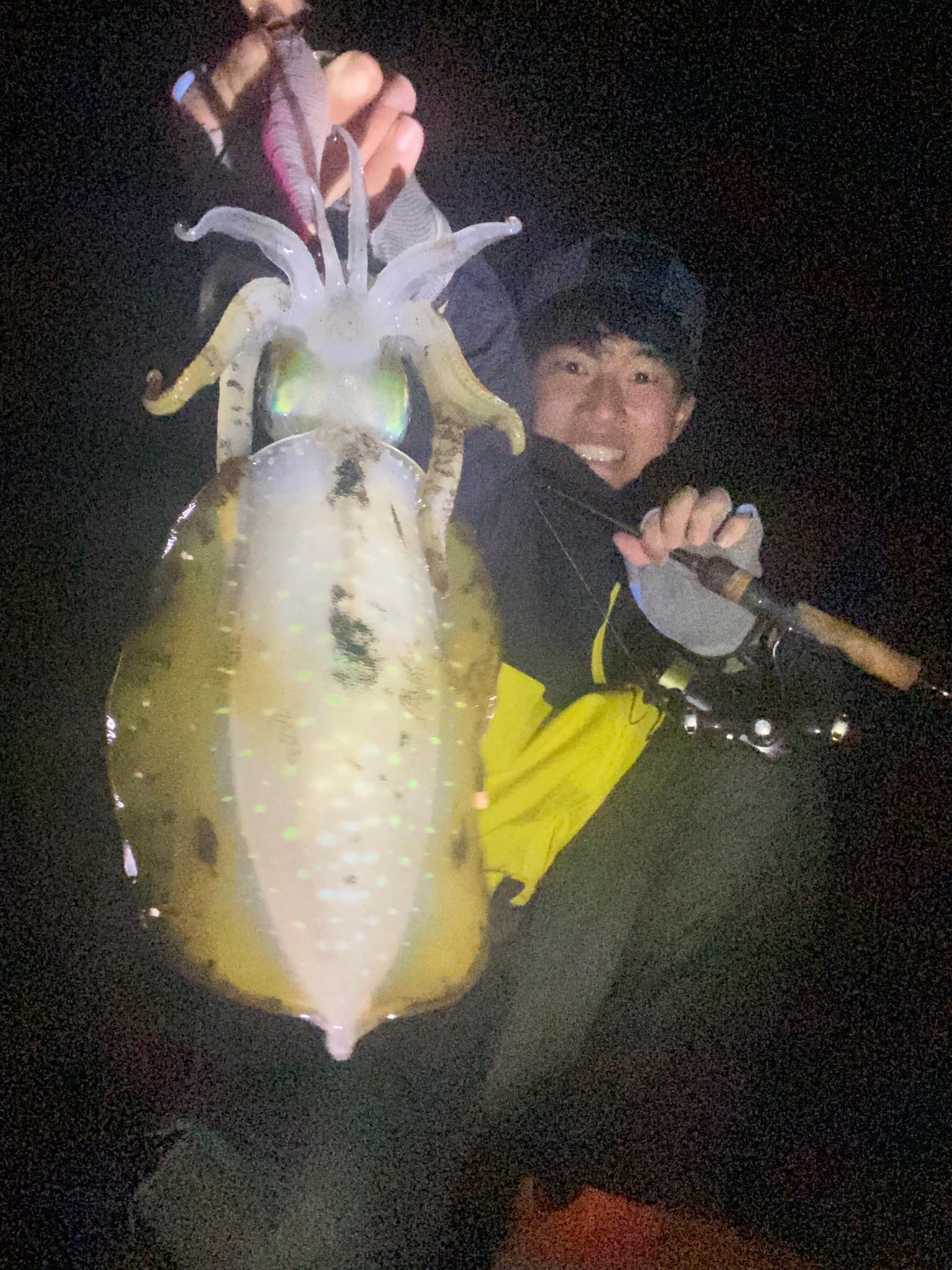 PALMS Global - Eging with Shore Gun EVOLV in Japan 🇯🇵 Rod: Shore Gun ...