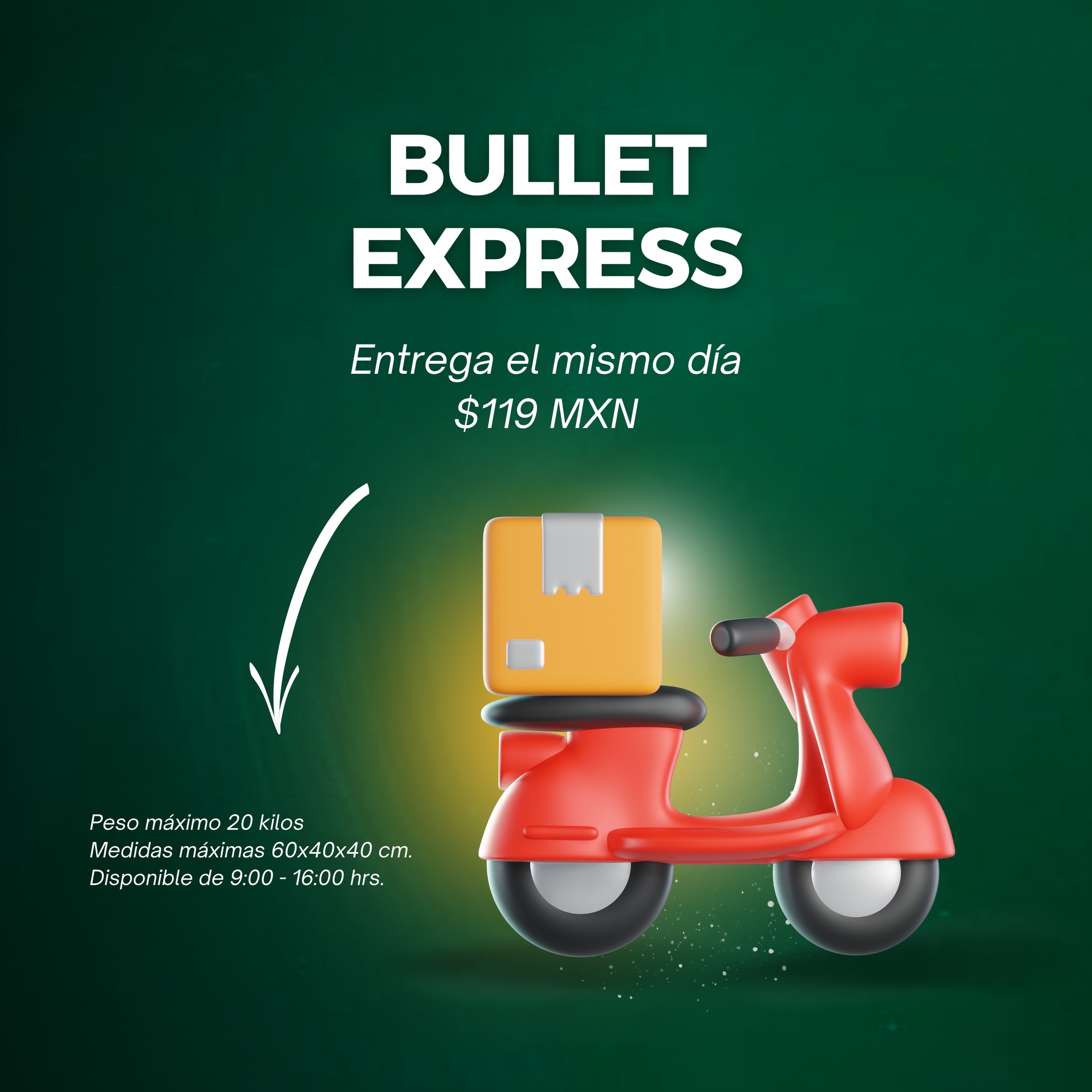 Bullet Envíos