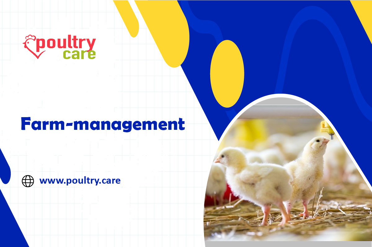 Poultry Care - Farm management For more:... | Facebook